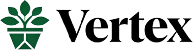 vertex